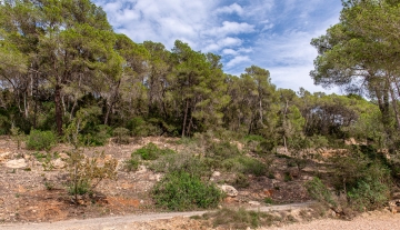 Resa estates Geraldine te koop finca noorden north ibiza sale bathroom mountain views.jpg